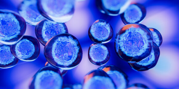 Soft Agar Colony Formation Assay System – High Efficiency & Precision, Unlocking New Dimensions in Tumor Research! Soft Agar Colony Formation Assay System – High Efficiency & Precision, Unlocking New Dimensions in Tumor Research!